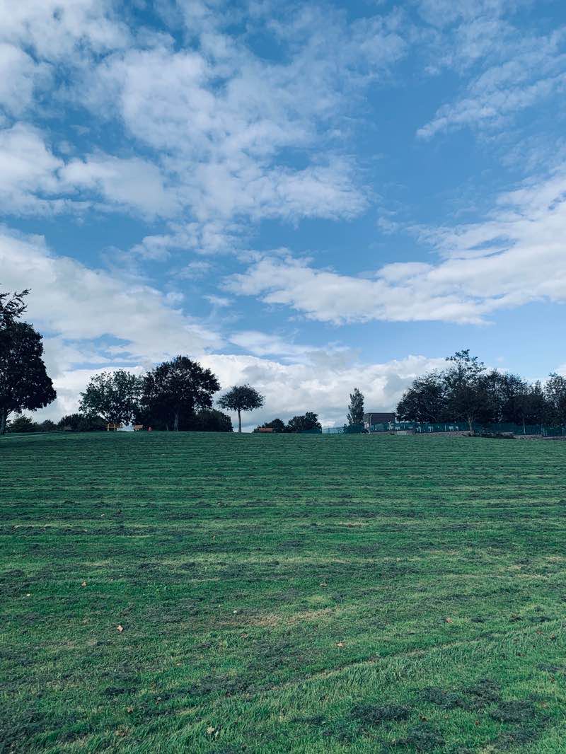 walking near me in Tory Top Park in winter