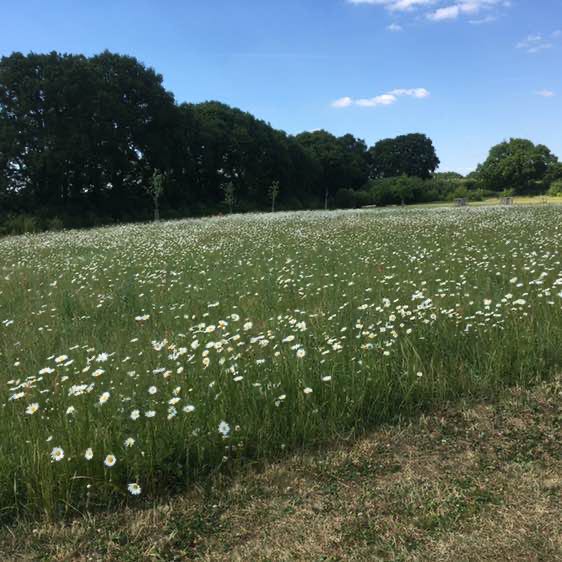 Mediterranean Man 🇬🇷🇬🇧🎤😎🎧💃🏻🕺🏻 post 2