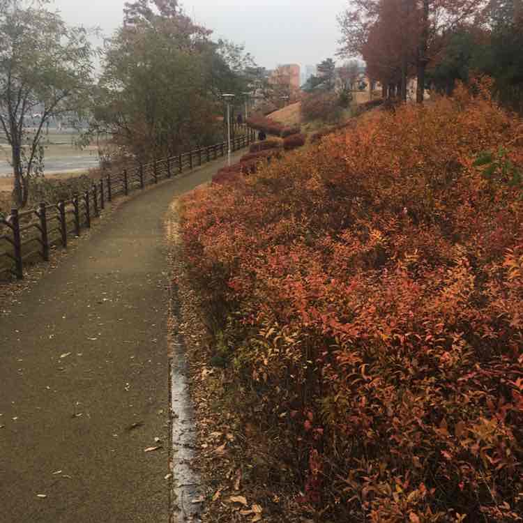 봉추 post 2