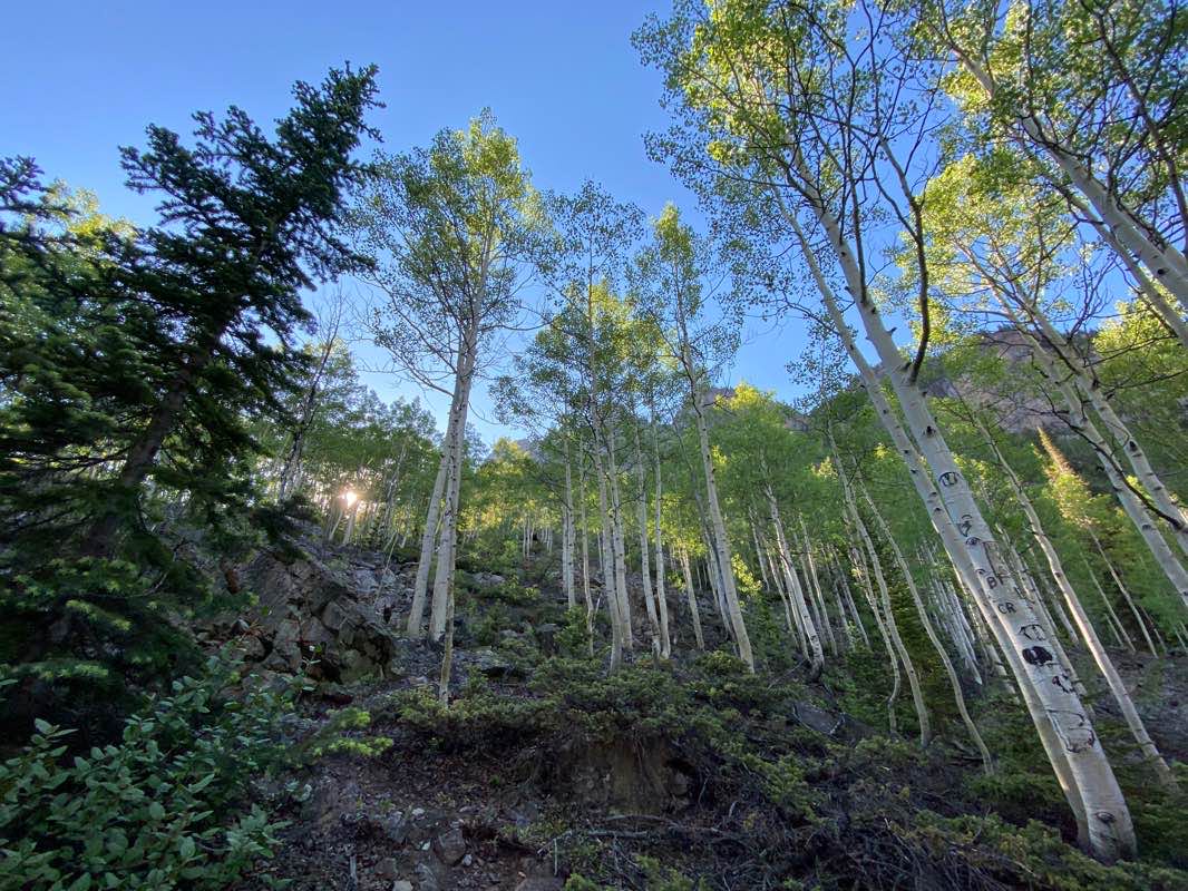 walking near me in Maroon Bells–Snowmass Wilderness in winter