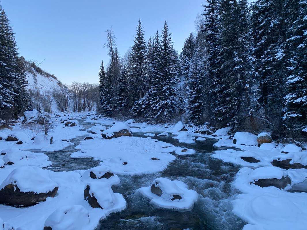 walking near me in Molly Gibson Park in winter