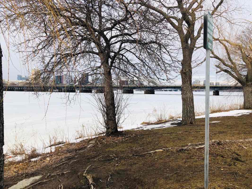 walking near me in Royall House Park in winter