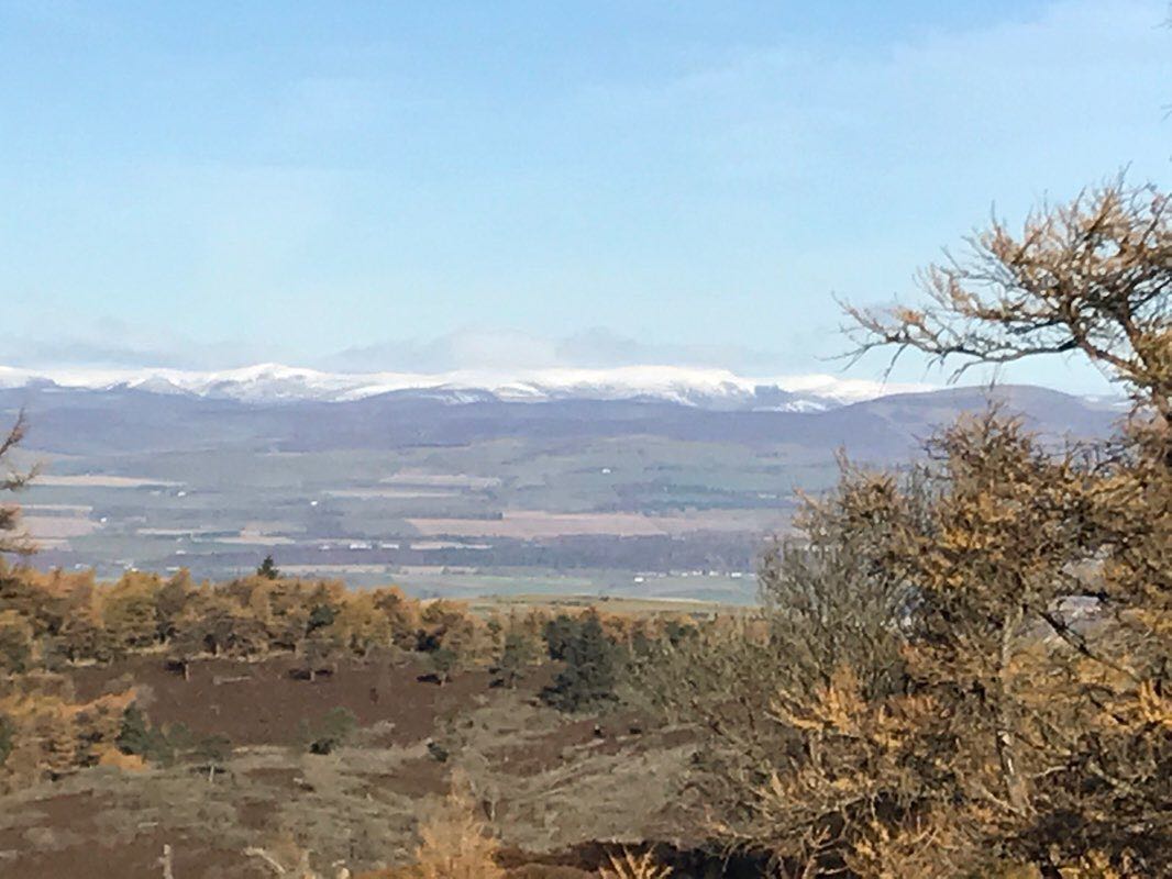 walking near me in Auchterhouse Hill SSSI in winter