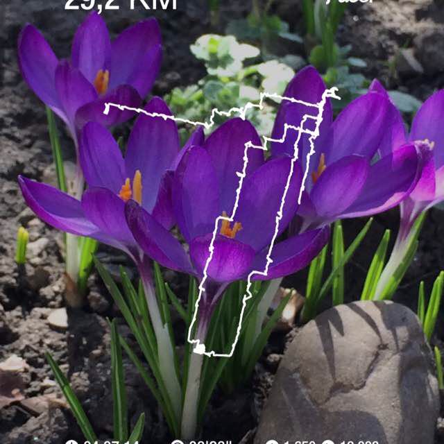 Юлия 🇷🇺🌊 post 1