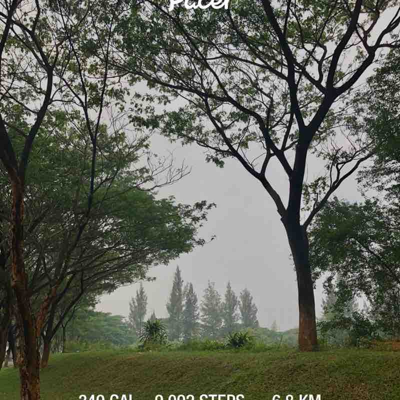 oktantina🍀 post 1