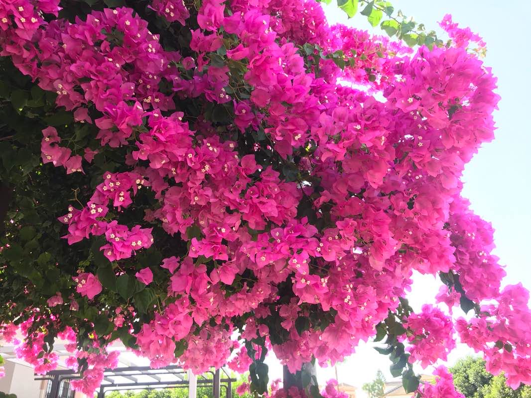walking near me in Recreo de Santa Ana in winter