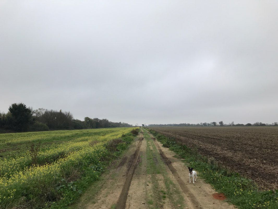 walking near me in Parque Ribeirinho de Benavente in winter