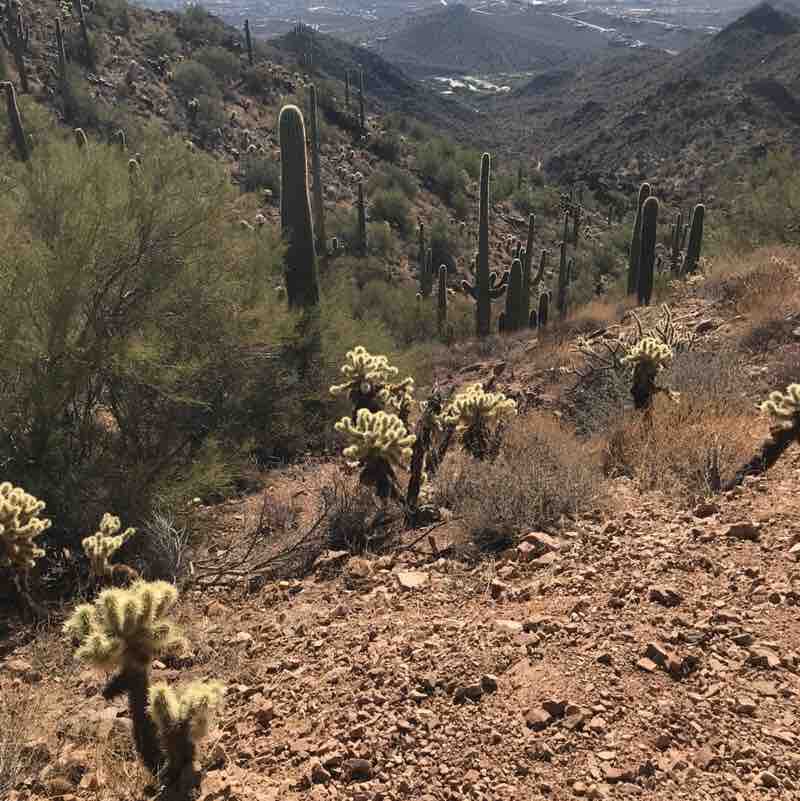 PacerGal_1961 post 1