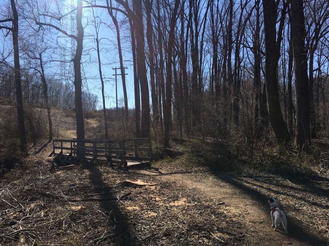 walking near me in Seneca Creek State Park Visitor Center in winter