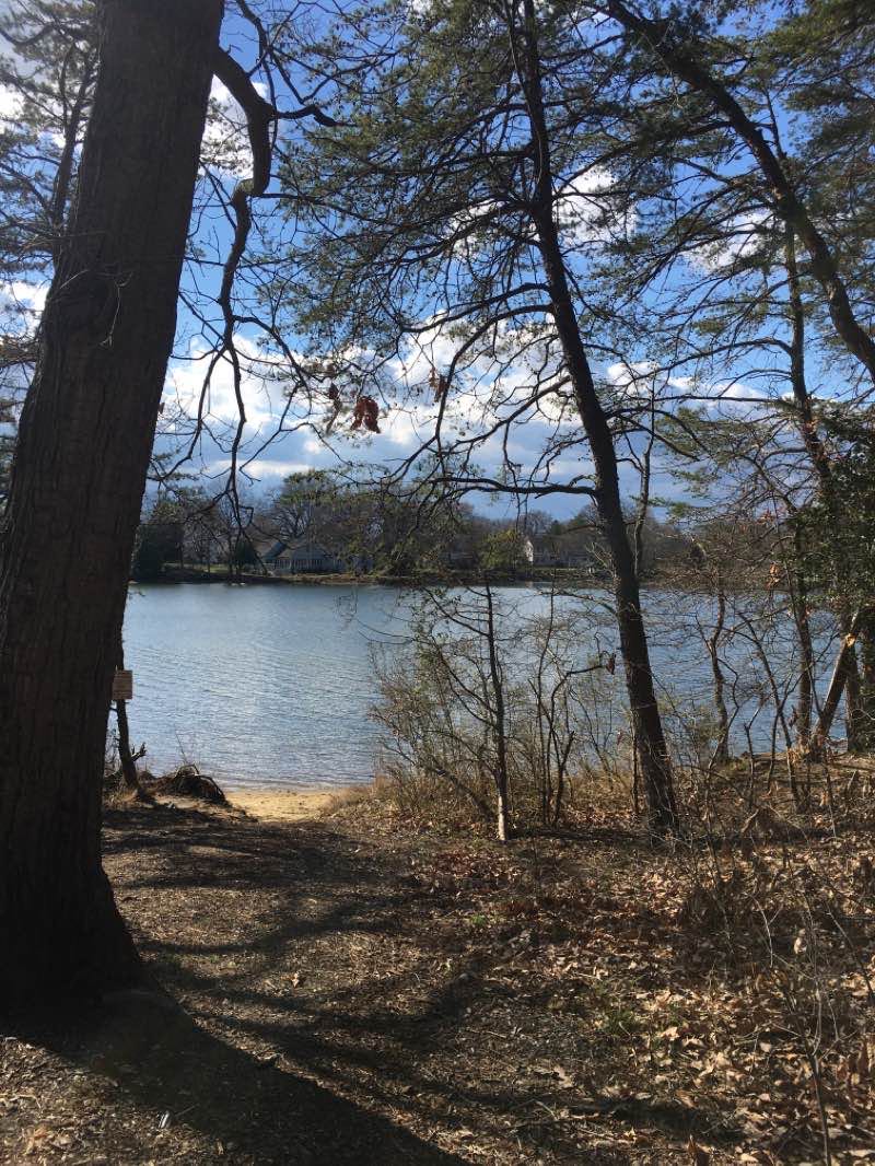 walking near me in Quiet Waters Park in winter