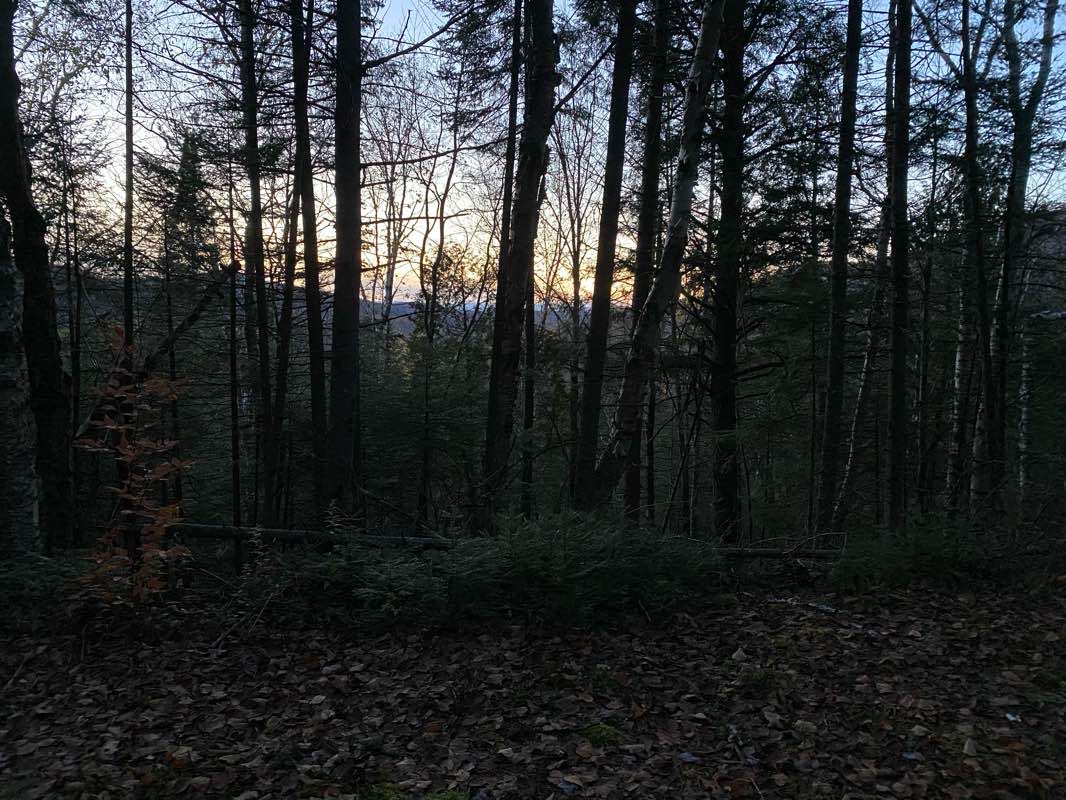 walking near me in Domaine Saint-Bernard in winter
