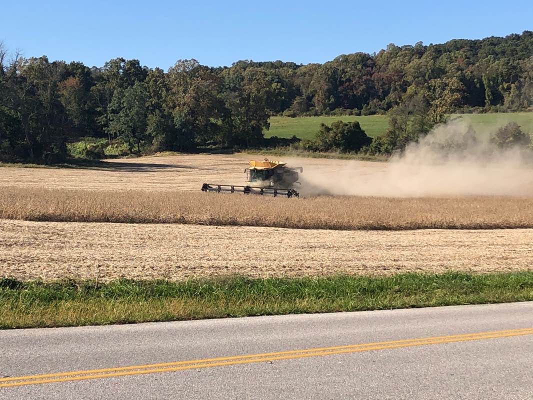 walking near me in Springetts Oaks Park in winter