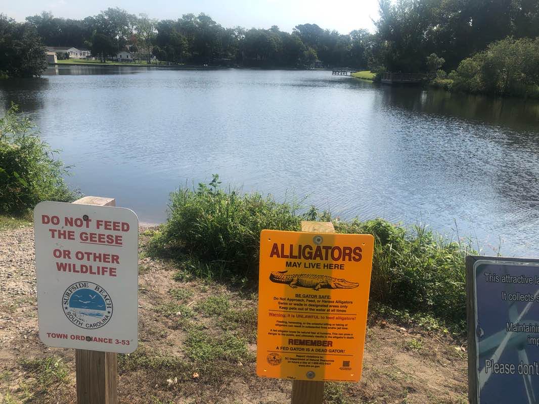 walking near me in W.O. "Bill" Martin Park in winter