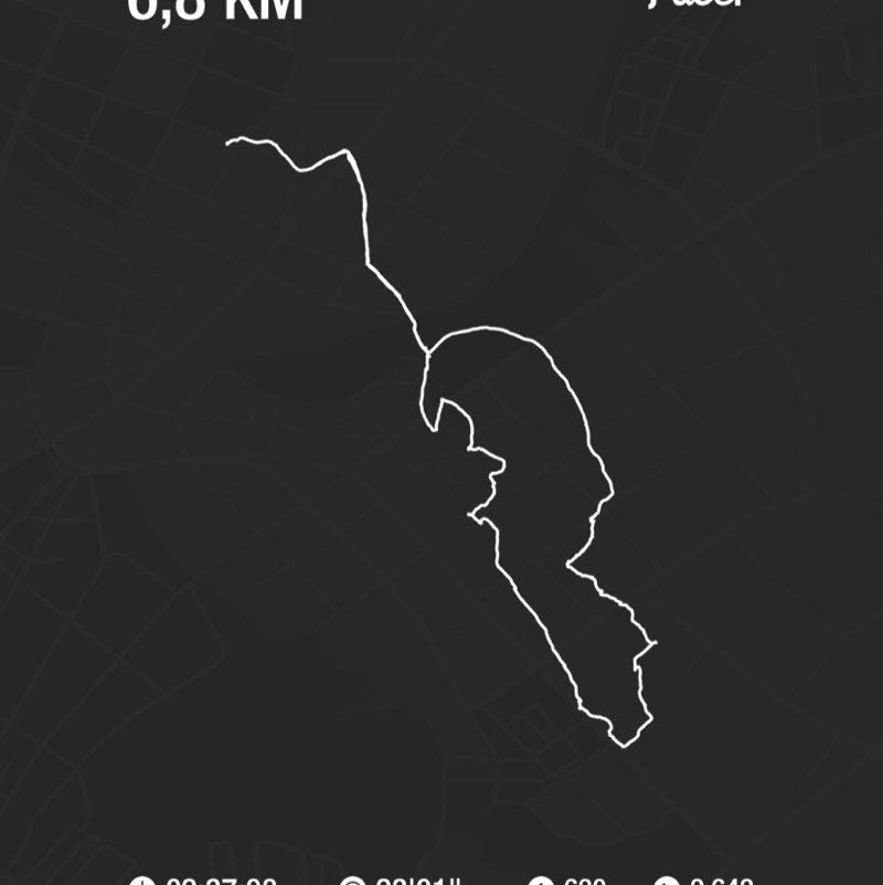 PacerTyp_1967 post 1