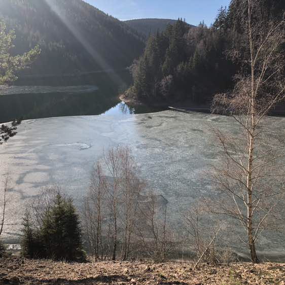 PacerTyp_1967 post 3