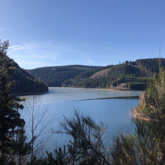 PacerTyp_1967 post 2