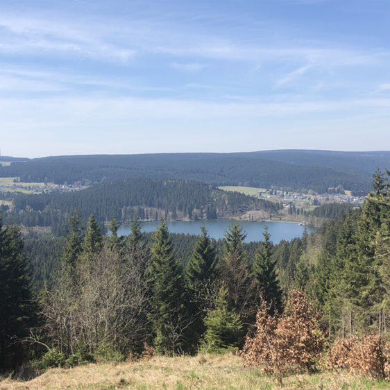 PacerTyp_1967 post 2