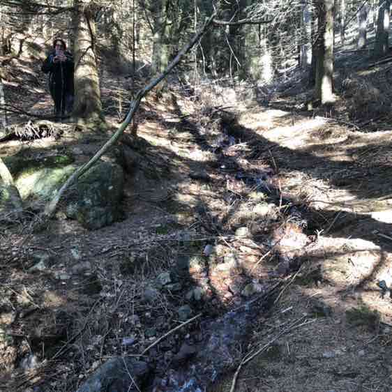 PacerTyp_1967 post 2