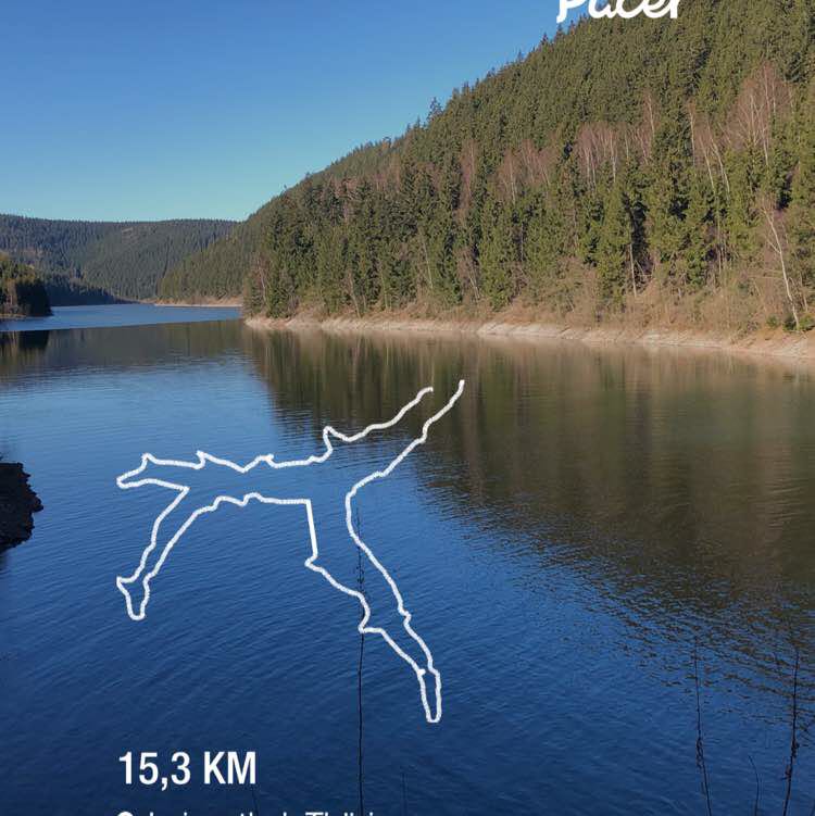 PacerTyp_1967 post 1