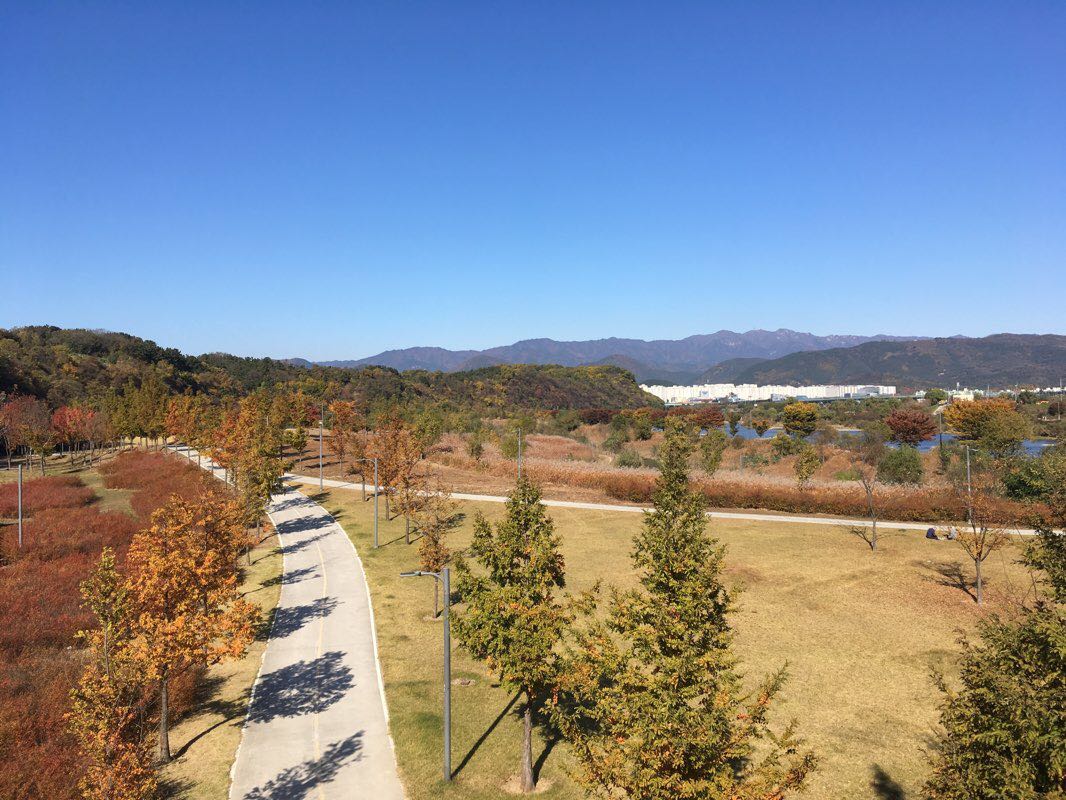 walking near me in Suseong Family Park in winter