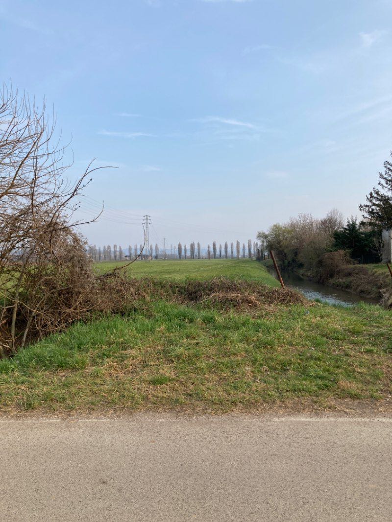 walking near me in Parco di VIlla Zileri in winter