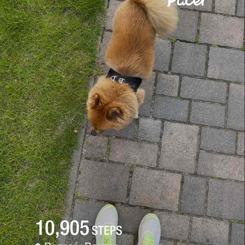 la la 👣🐾 post 1