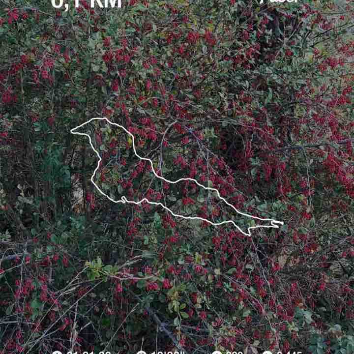 🌟Roberta🌟 post 1