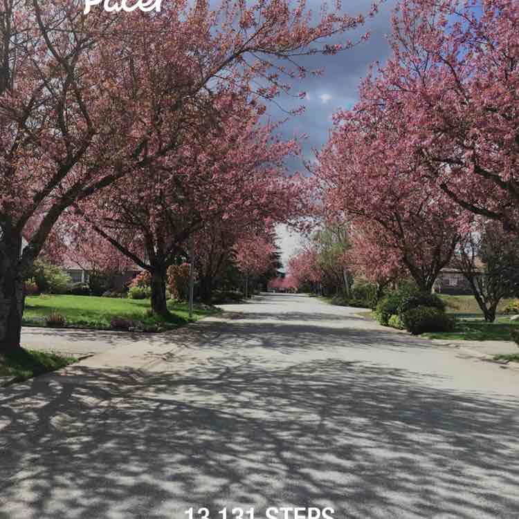 Memaw 🇨🇦 post 1