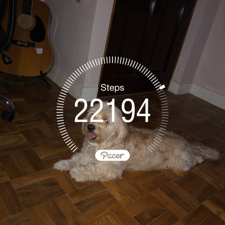 Jords🇵🇭🇵🇭🇵🇭⛹🏿‍♂️⛹️🥊⛹️‍♀️ post 1