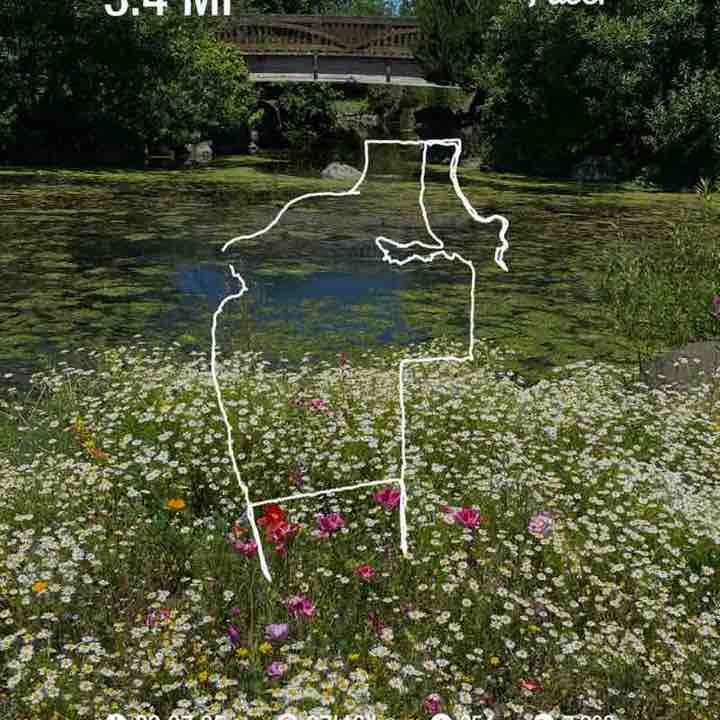 PacerGal_1946 post 1