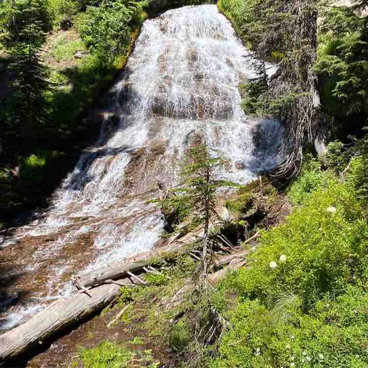 PacerGal_1946 post 1