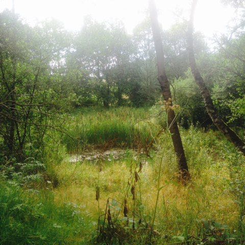 Clownfrau2017 post 1