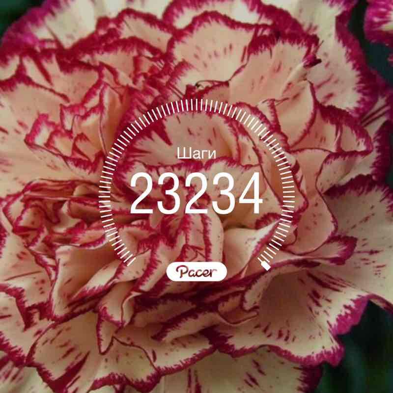 Haleg 🇭🇺 post 1