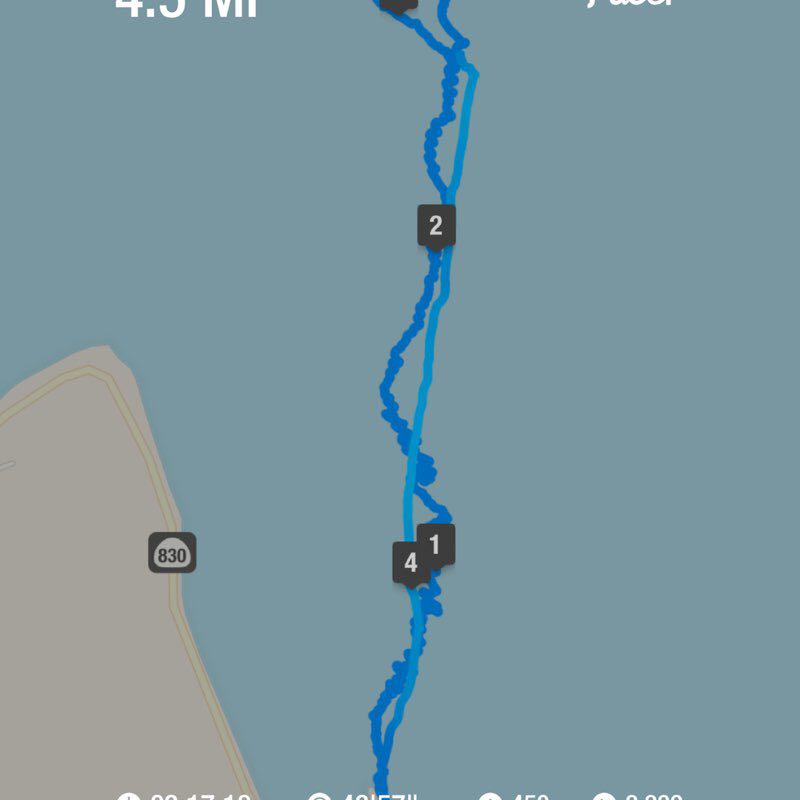 PacerGuy_1961 post 1