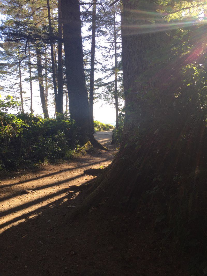 walking near me in French Beach Provincial Park in winter