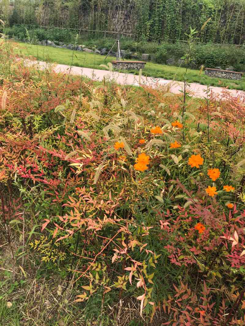 walking near me in Sincheon Riverside Park in winter