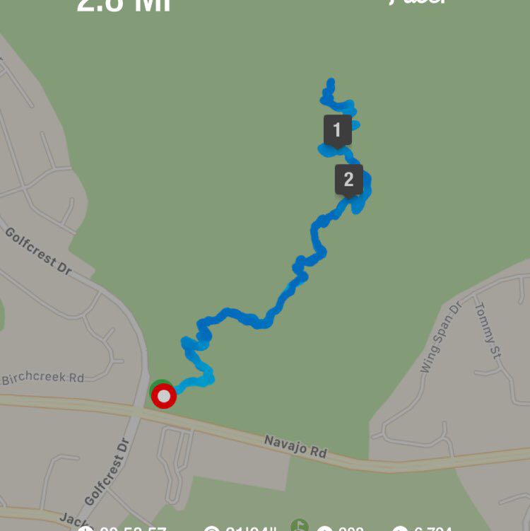 Andi the duke post 1