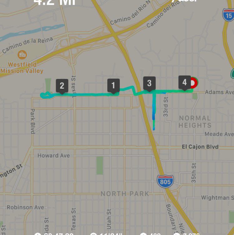 Andi the duke post 1