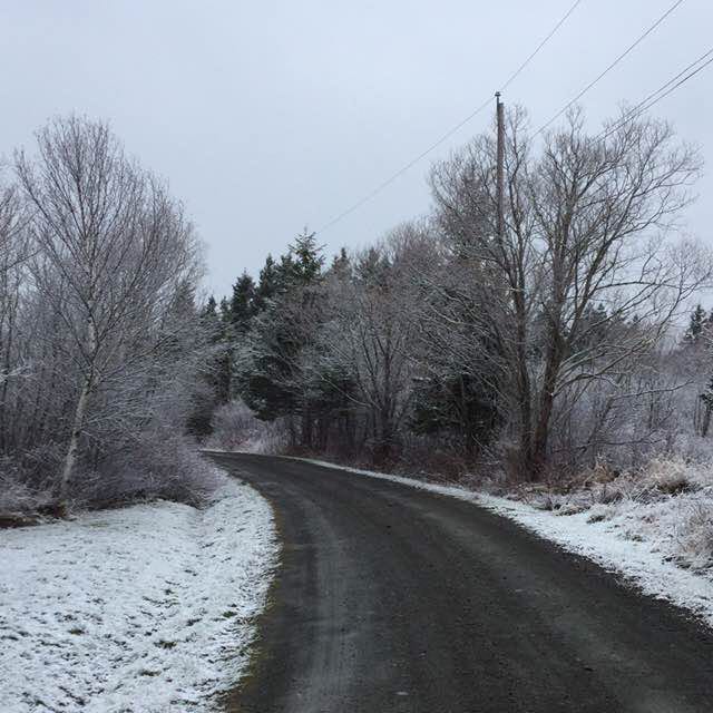 PacerGal_1961 post 1