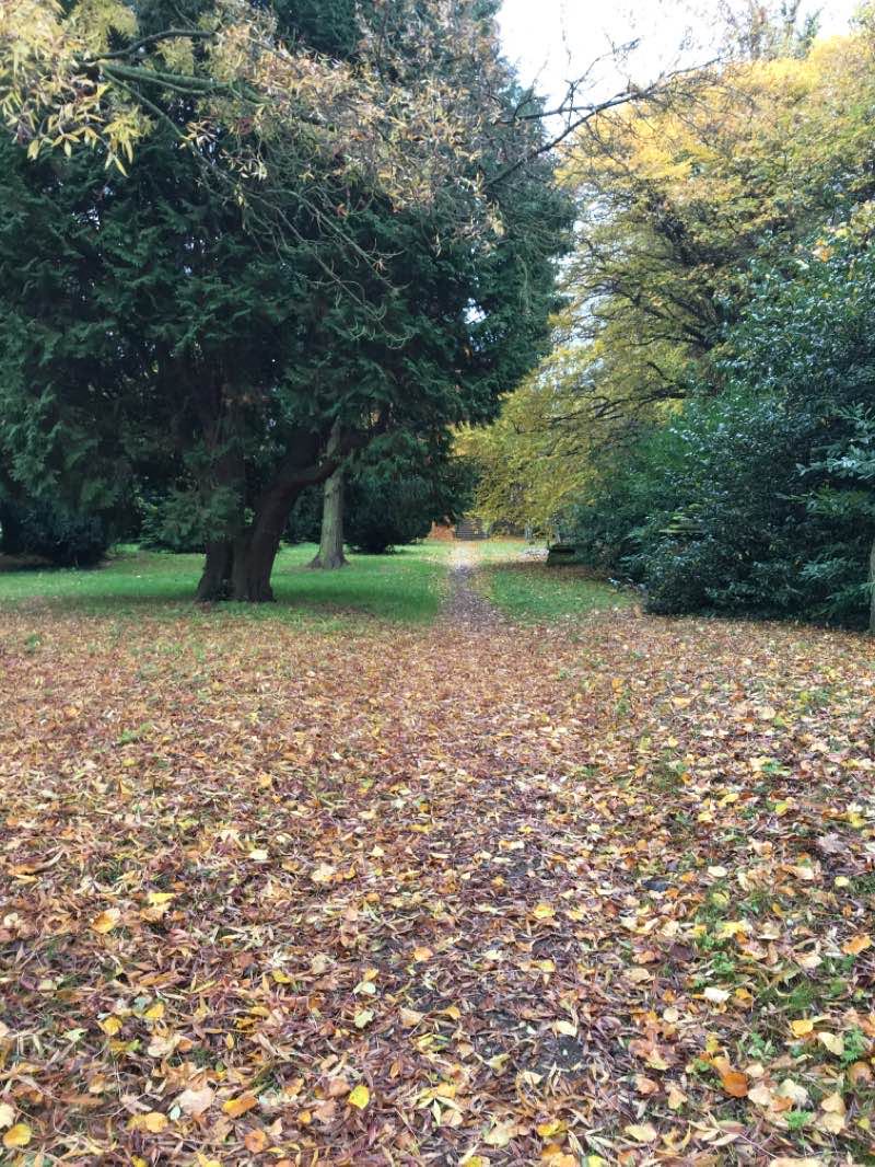 walking near me in Babworth Park in winter