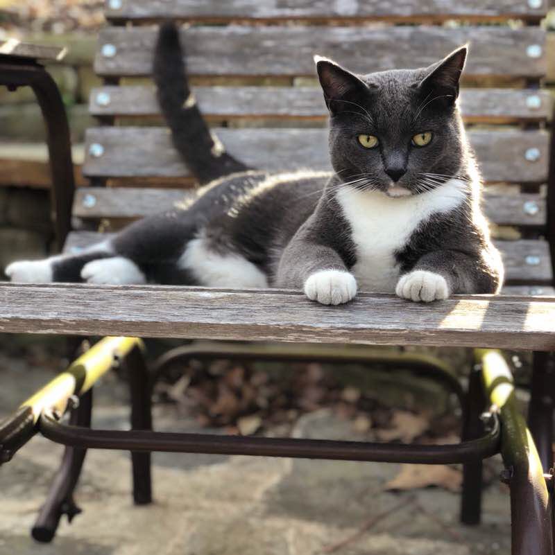 beckyjopatterson post 1