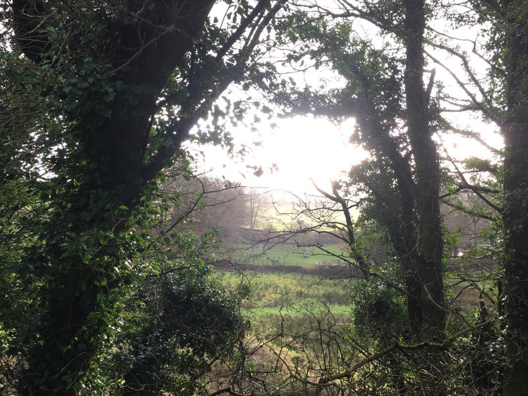 walking near me in Kerridge Sports Club in winter