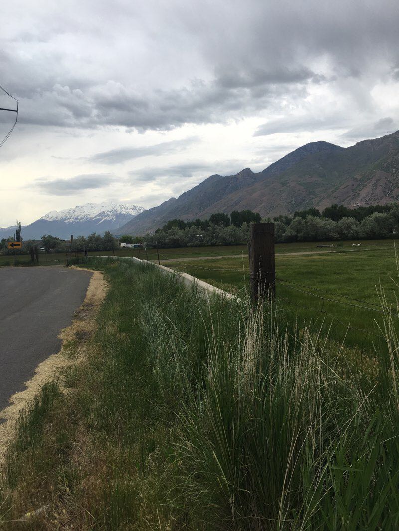walking near me in Civic Center Park in winter