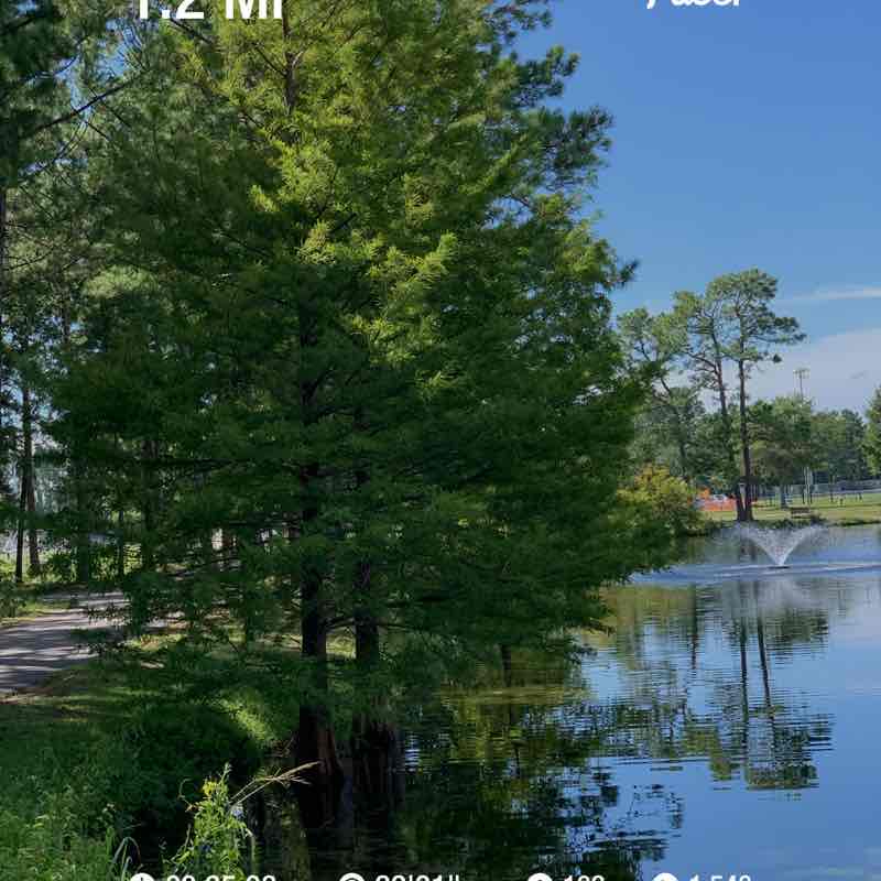 susanaobandobarquero post 1