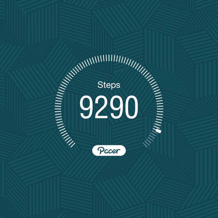 Compet Equipments post 1