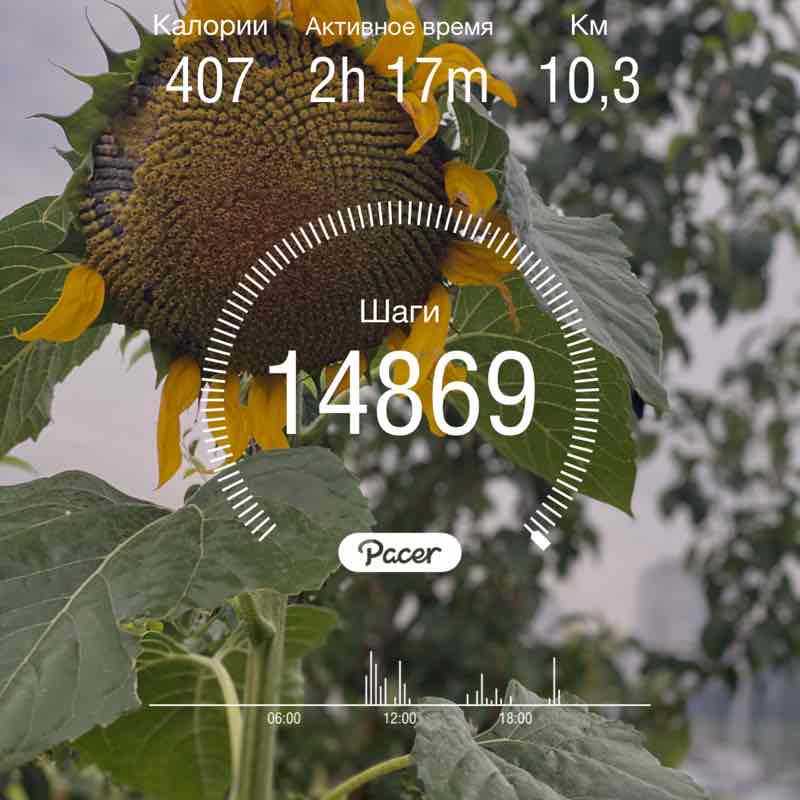 Ольга Зырянова post 1