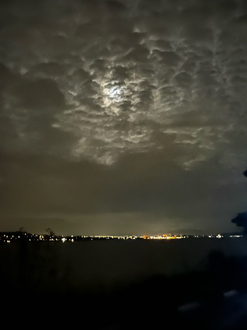 walking near me in Willow Park in winter