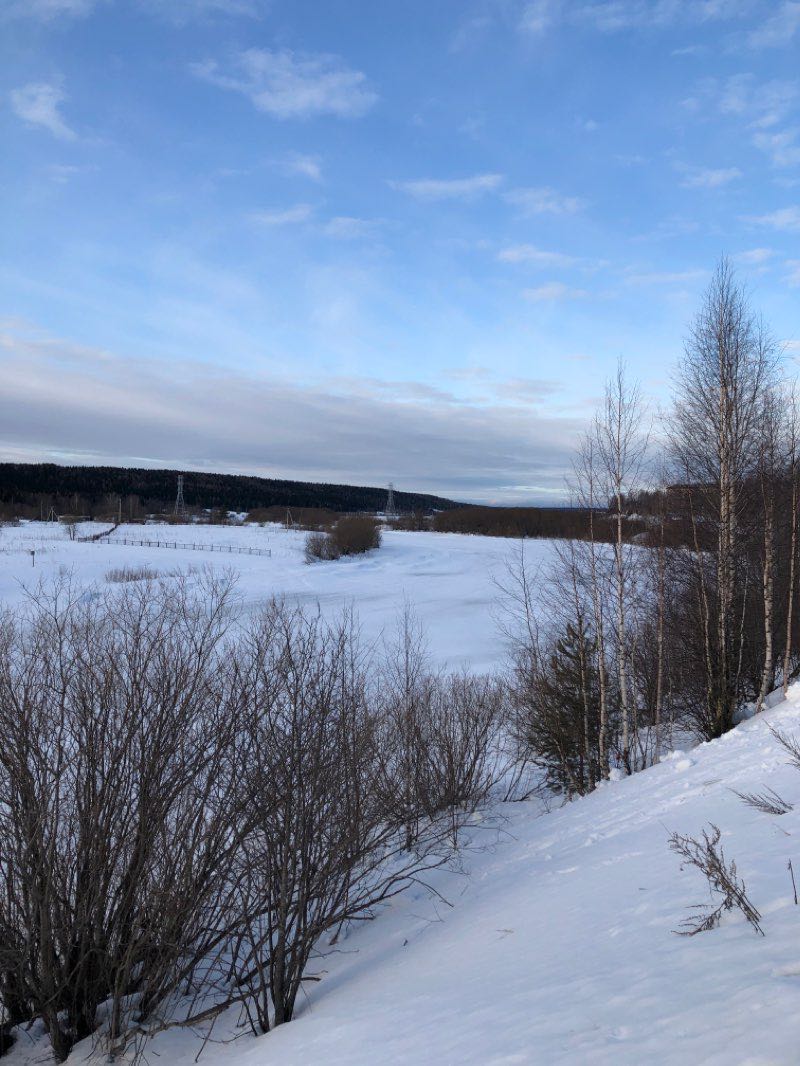 walking near me in Детский Парк in winter