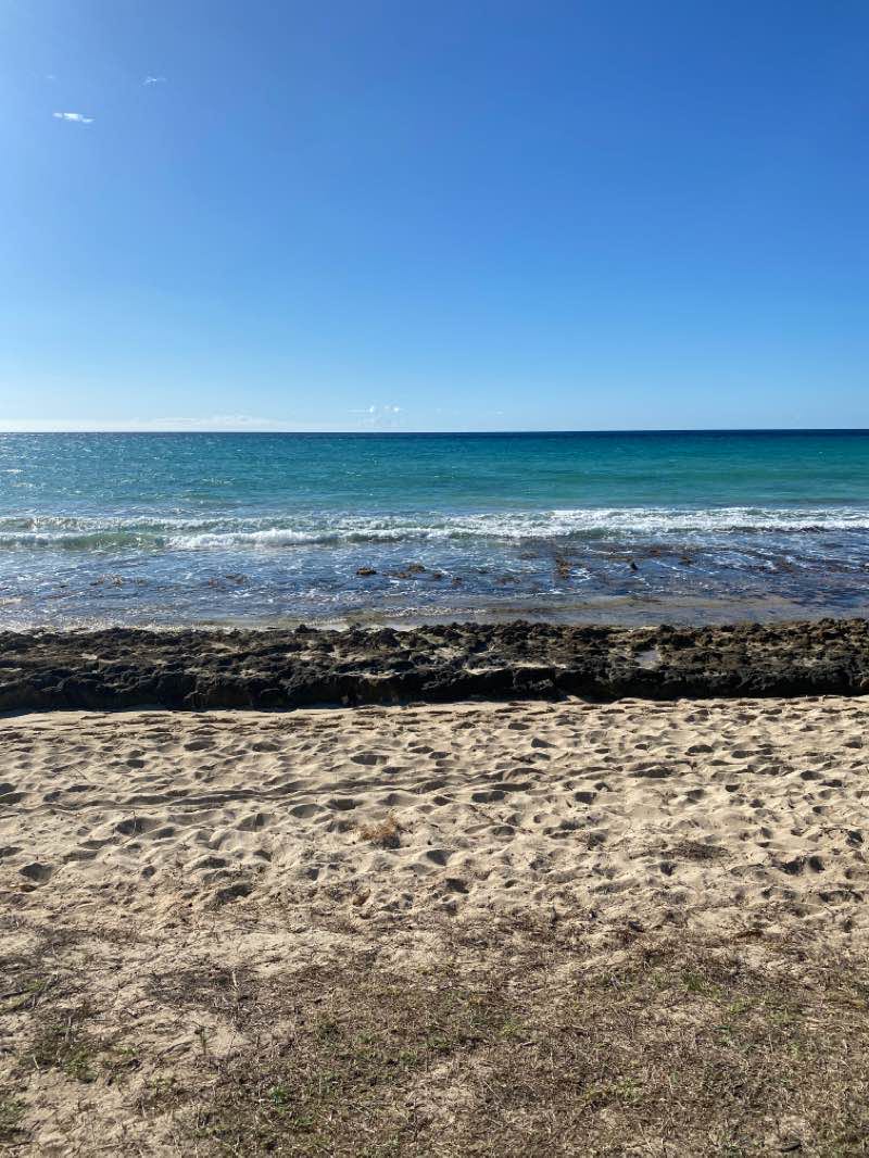 walking near me in Oneula Beach Park in winter