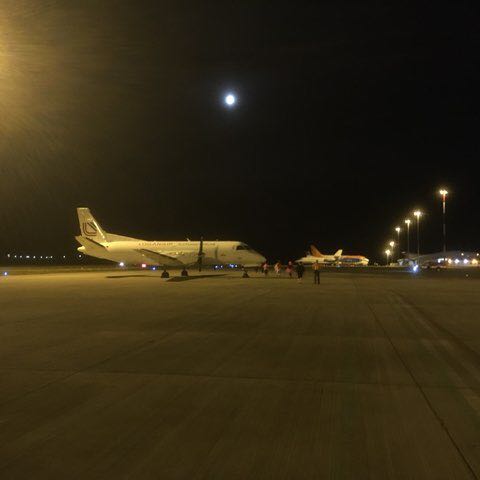 tansey_priscilla post 2